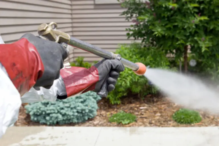 Does Diesel Kill Weeds (How to Use Diesel to Kill Weeds)