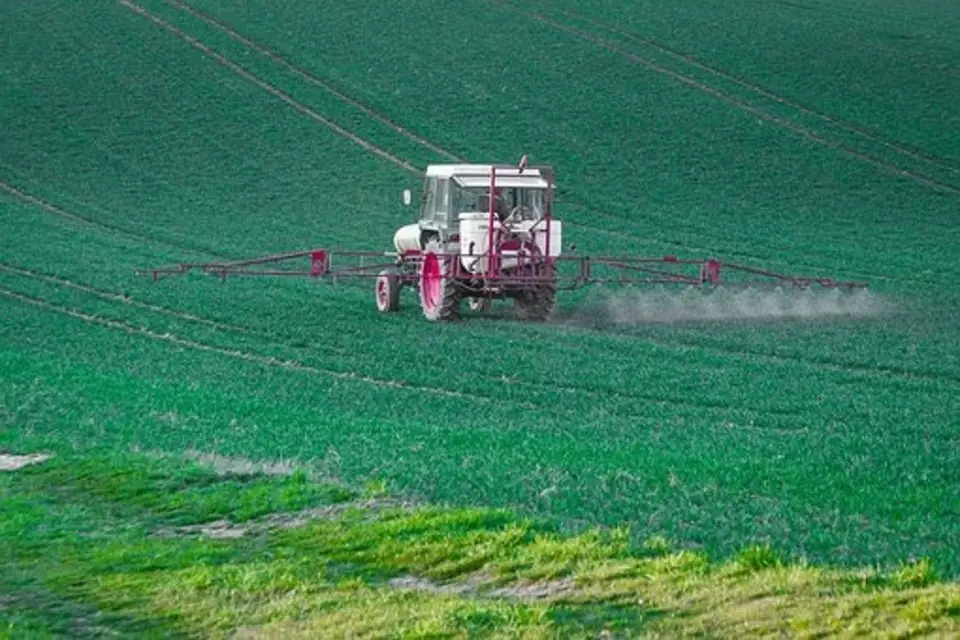 is glyphosate bad for you