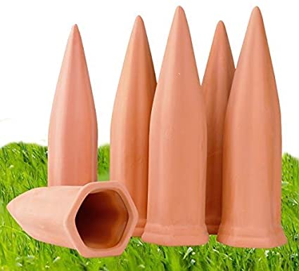 best plant watering spikes