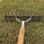 How Short To Cut Grass Before Scarifying