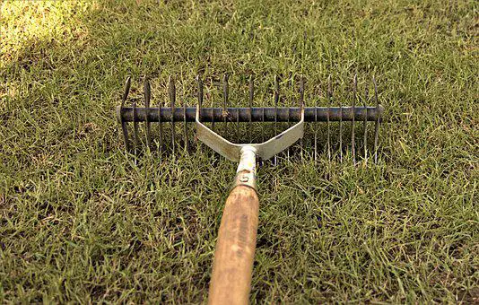 How Short To Cut Grass Before Scarifying