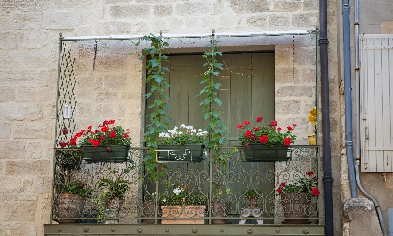 small French garden ideas