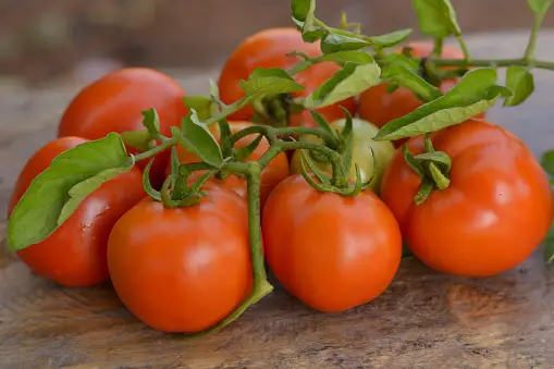 How to Use Tomato Tone
