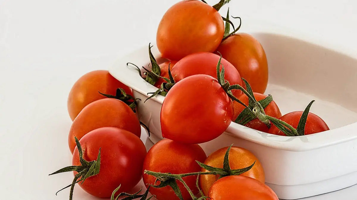 Tomatoes With Pointed Bottom