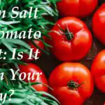 Epsom Salt for Tomato Blight