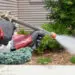 Does diesel kill weeds - how to use diesel to kill weeds