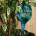 Best self-watering globes