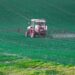 is glyphosate bad for you