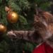 How To Recycle A Christmas Tree