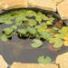 Fish Pond Ideas for Small Gardens