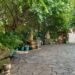 Small Backyard Zen Garden Ideas